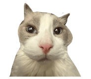 863658048
