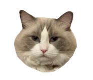 863658050