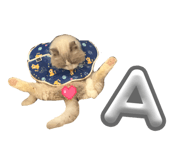 863658055