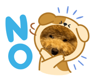863658204