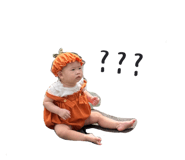 863660613
