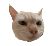 863662305