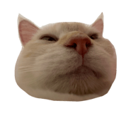 863662307