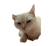 863662308