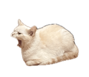 863662309