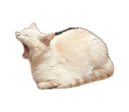 863662310