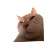 863662311