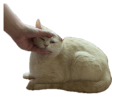 863662312