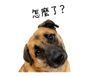 863662593