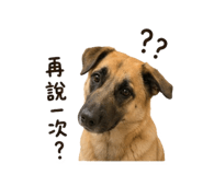 863662615