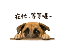 863662618