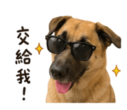 863662622