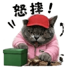 863663033