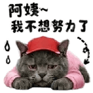 863663035