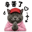 863663036