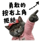 863663042