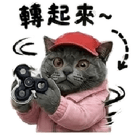 863663043