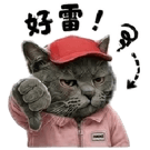 863663045