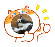 863663105