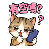 863664644
