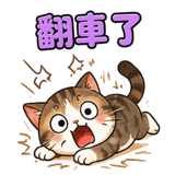 863664664
