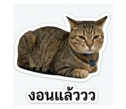 863665844