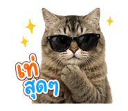 863666111