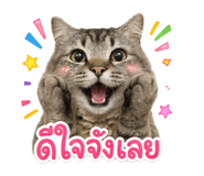 863666114