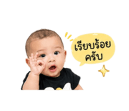 863666213