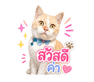 863667313