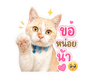 863667314