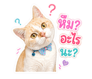 863667321