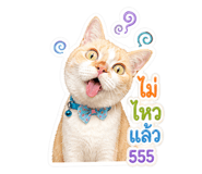 863667324