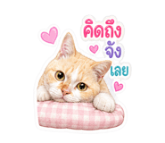 863667329