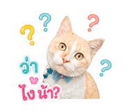 863667338