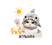 863667491