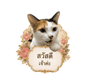 863668073