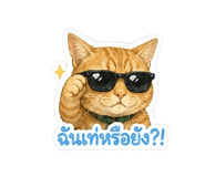 863670746