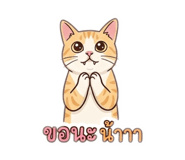 863672337