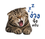 863675008