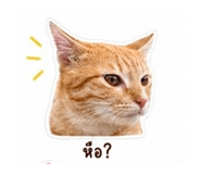 863682749