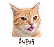 863682750