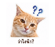 863682753
