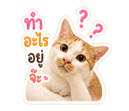 863683109