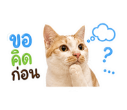863683114