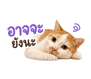 863683117