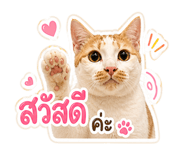 863683118