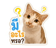 863683119