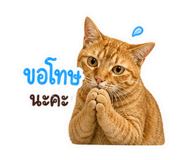 863683124