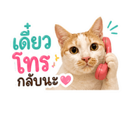 863683125
